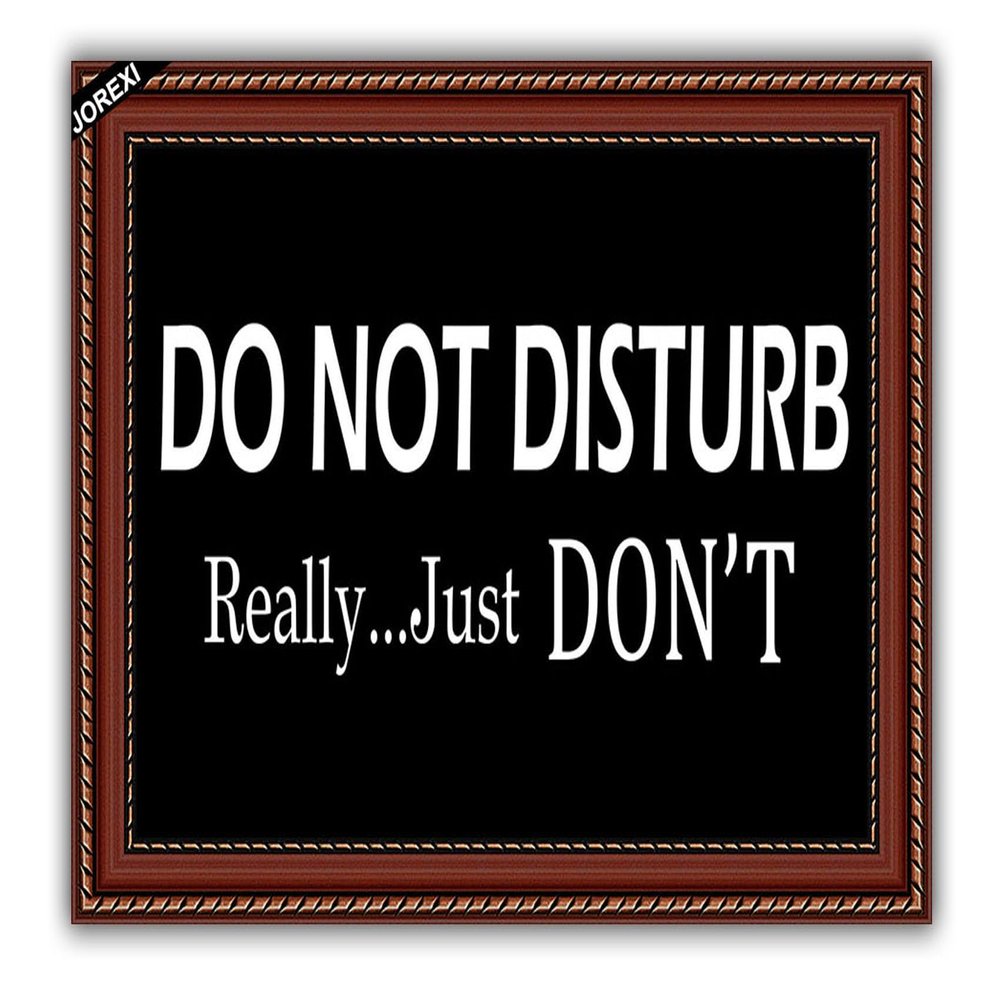 Do Not Disturb Door Mat Funny Welcome Doormat with Rubber Back,Doormat for Entrance Way Hello Monogram Mats for Front Door Mat Kitchen Rugs