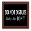 Do Not Disturb Door Mat Funny Welcome Doormat with Rubber Back,Doormat for Entrance Way Hello Monogram Mats for Front Door Mat Kitchen Rugs view 1