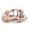 Pilipane Dinosaur Skull Model, Personality Animal Skeleton Ornaments, Dinosaur Skeleton for Home Office Decor Halloween Collection Art Craft Teaching Prop view 1
