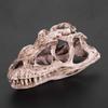 Pilipane Dinosaur Skull Model, Personality Animal Skeleton Ornaments, Dinosaur Skeleton for Home Office Decor Halloween Collection Art Craft Teaching Prop view 3