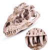 Pilipane Dinosaur Skull Model, Personality Animal Skeleton Ornaments, Dinosaur Skeleton for Home Office Decor Halloween Collection Art Craft Teaching Prop view 4