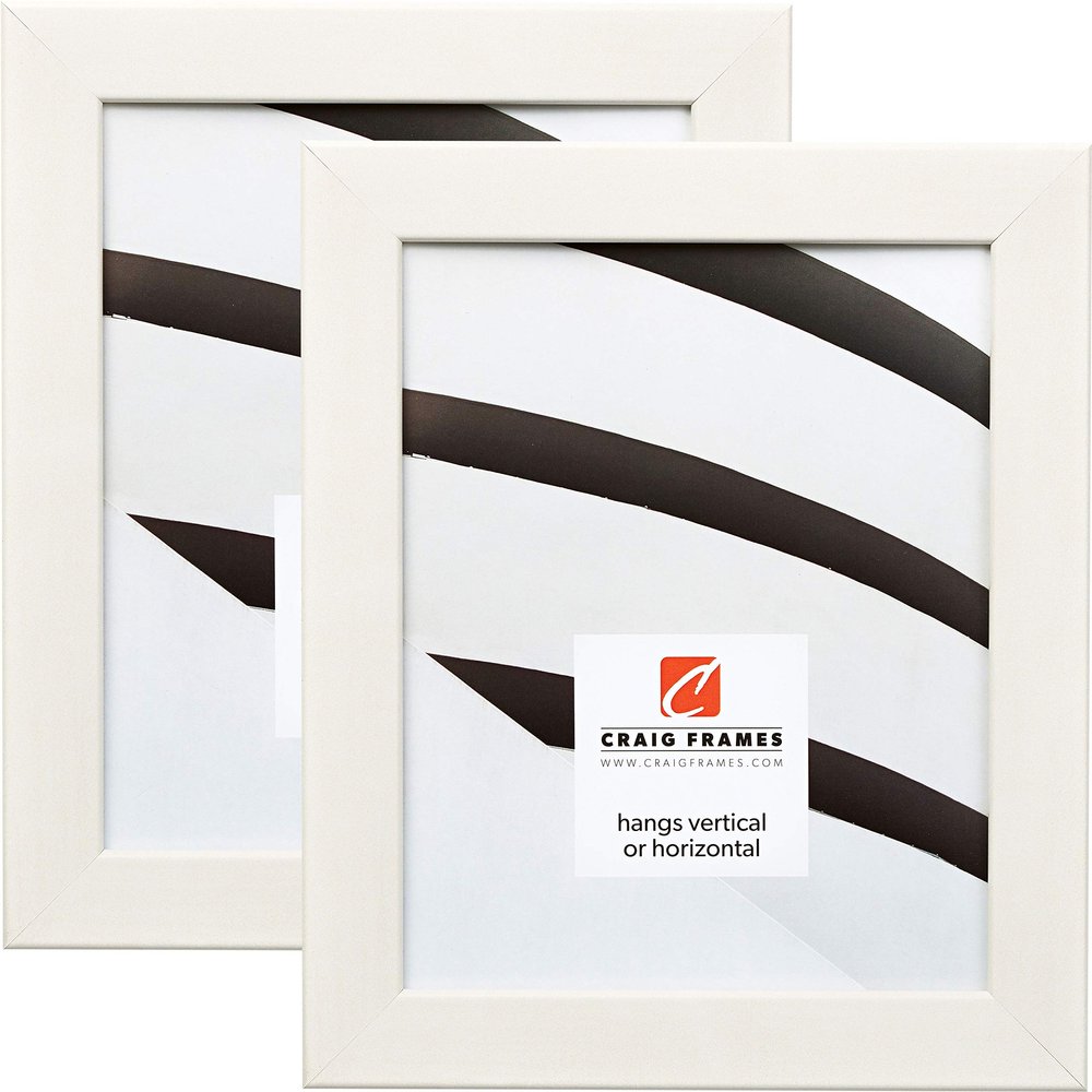Craig Frames 26021 20 x 30 Inch Picture Frame, Modern Off-White, Set of 2