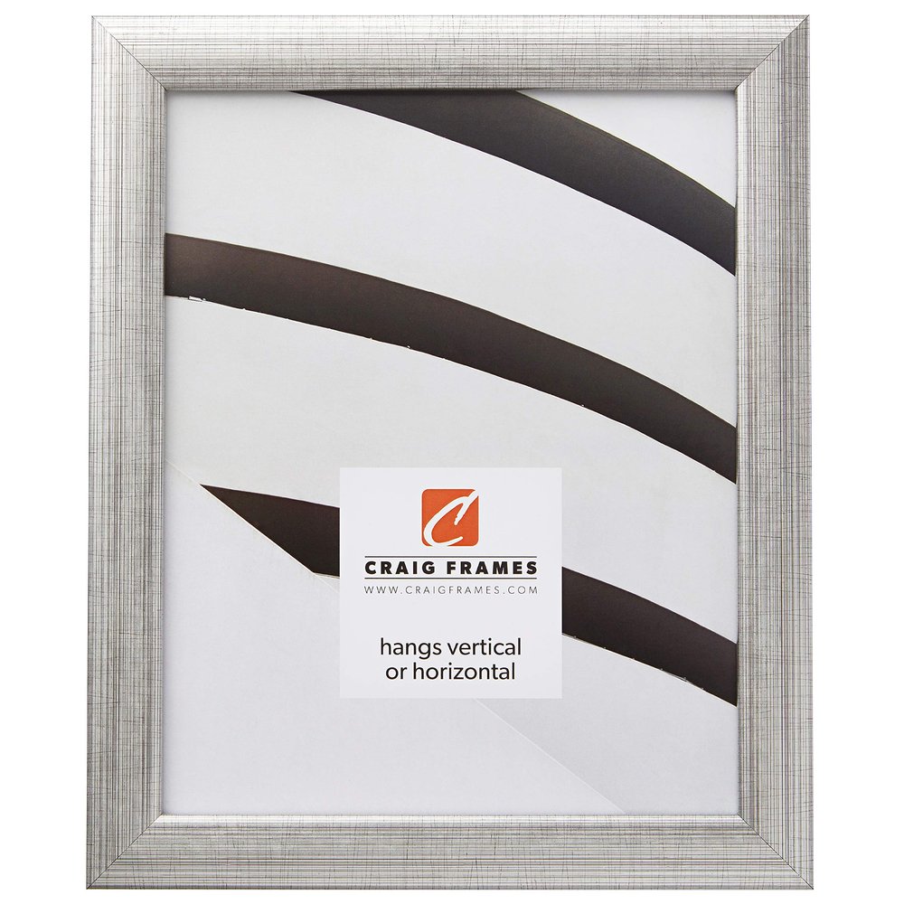 Craig Frames Contemporary Picture Frame, 22 x 26 Inch, Distressed Silver