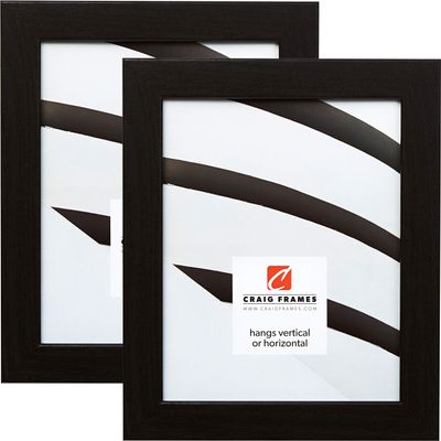 Craig Frames 26062 14 x 18 Inch Picture Frame, Modern Black Oak, Set of 2
