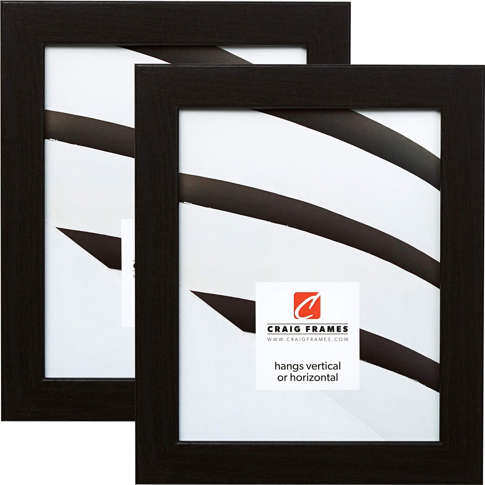Craig Frames 26062 14 x 18 Inch Picture Frame, Modern Black Oak, Set of 2