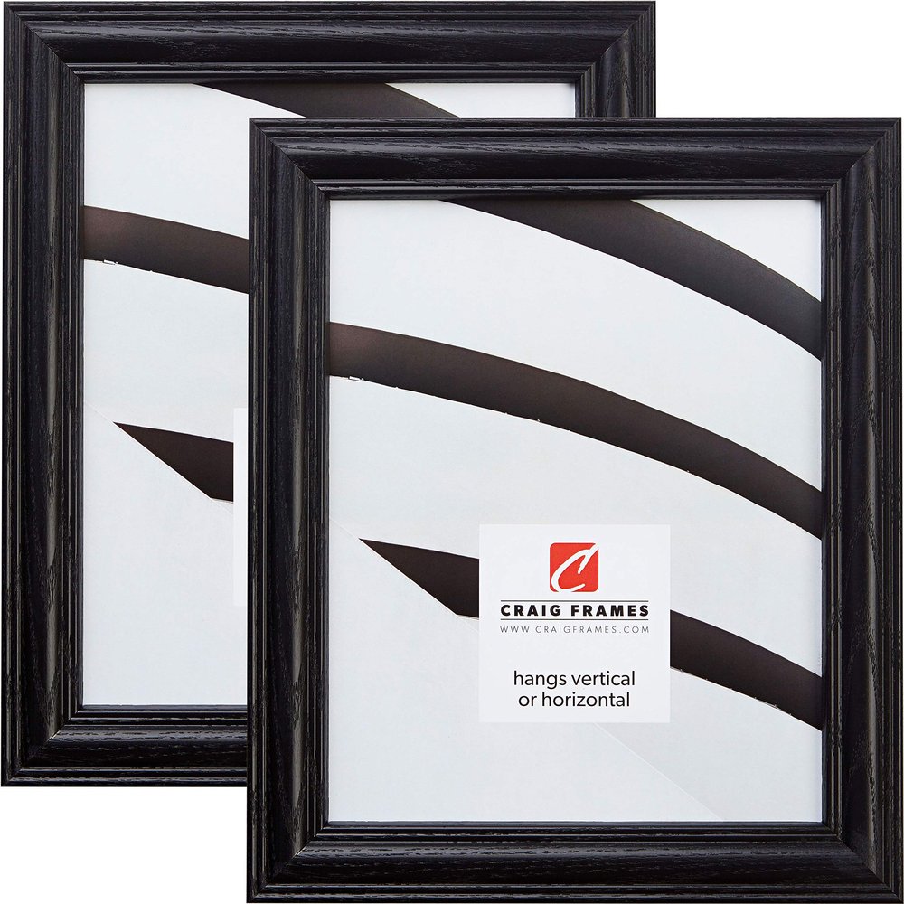 Craig Frames 440BK 24 x 32 Inch Picture Frame, Black, Set of 2