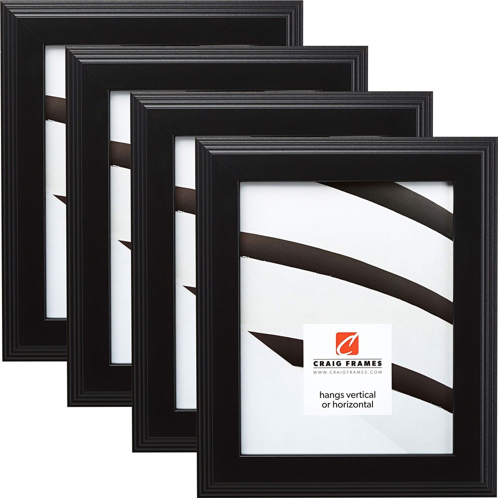 Craig Frames FW4BK 12 x 36 Inch Picture Frame, Contemporary Black, Set of 4