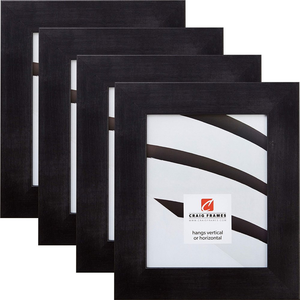 Craig Frames 74009 8 x 12 Inch Picture Frame, Rustic Black, Set of 4