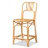 Baxton Studio Ivora Modern Bohemian Natural Brown Rattan Counter Stool view 1