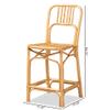 Baxton Studio Ivora Modern Bohemian Natural Brown Rattan Counter Stool view 3