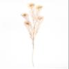 Artificial Golden Plants for Wedding | Fake Golden Peacock Spray l Peacock Spray for Christmas or Any Event Decoration (Approximately 37" Tall) (Sell in Bundle of 2) (Golden Peacock Spray) view 1