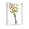 MarccTipton 16x20 Acrylic Shadow Box, Assemble Display Case, DIY Tabletop/Wall Mount Display Frame, All Clear Memory Box for Dried Flowers/Kids Room/Birthday/Wedding(16x20x2 .5, Assemble Frame) view 1