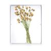 MarccTipton 16x20 Acrylic Shadow Box, Assemble Display Case, DIY Tabletop/Wall Mount Display Frame, All Clear Memory Box for Dried Flowers/Kids Room/Birthday/Wedding(16x20x2 .5, Assemble Frame) view 2