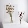 MarccTipton 16x20 Acrylic Shadow Box, Assemble Display Case, DIY Tabletop/Wall Mount Display Frame, All Clear Memory Box for Dried Flowers/Kids Room/Birthday/Wedding(16x20x2 .5, Assemble Frame) view 3