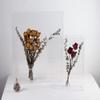 MarccTipton 16x20 Acrylic Shadow Box, Assemble Display Case, DIY Tabletop/Wall Mount Display Frame, All Clear Memory Box for Dried Flowers/Kids Room/Birthday/Wedding(16x20x2 .5, Assemble Frame) view 4