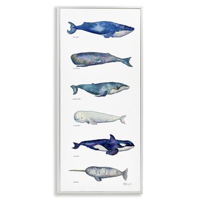Stupell Industries Maritime Sea Life Ocean Whales Narwhal Chart Diagram, Design by MB Cunningham, 13 x 30, Blue