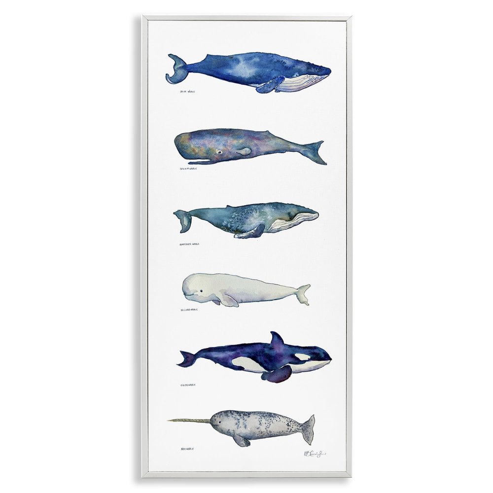 Stupell Industries Maritime Sea Life Ocean Whales Narwhal Chart Diagram, Design by MB Cunningham, 13 x 30, Blue