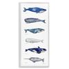 Stupell Industries Maritime Sea Life Ocean Whales Narwhal Chart Diagram, Design by MB Cunningham, 13 x 30, Blue view 1
