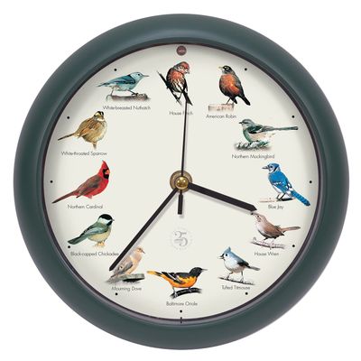 Mark Feldstein, The Original Singing Bird Clock, 25th Anniversary Edition, 8 Inch, Green