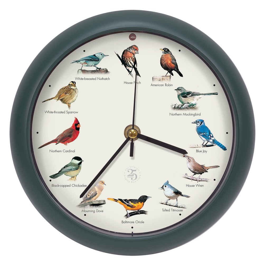 Mark Feldstein, The Original Singing Bird Clock, 25th Anniversary Edition, 8 Inch, Green