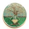2 Year NA Medallion - Green & Blue Tree of Life , Glitter, Bling, Clean Recovery Chip, Token, Coin view 1