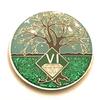6 Year NA Medallion - Green & Blue Tree of Life , Glitter, Bling, Clean Recovery Chip, Token, Coin view 1