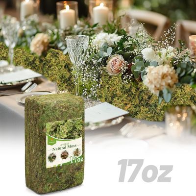 Alphatool 17oz Large Pack Natural Green Moss for Crafts - Bulk Moss for Plants Indoor, Artificial Fairy Gardens, Mosswall, Glass Terrariums, Filling Fake Plants, Home Decoration, Professional DIY Use