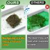 Alphatool 17oz Large Pack Natural Green Moss for Crafts - Bulk Moss for Plants Indoor, Artificial Fairy Gardens, Mosswall, Glass Terrariums, Filling Fake Plants, Home Decoration, Professional DIY Use view 2