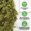 Alphatool 17oz Large Pack Natural Green Moss for Crafts - Bulk Moss for Plants Indoor, Artificial Fairy Gardens, Mosswall, Glass Terrariums, Filling Fake Plants, Home Decoration, Professional DIY Use view 4