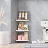 FSyueyun 3-Tier Bathroom Corner Shelf Organizer Countertop, Kitchen Spice Rack Vanity Tray Perfume Makeup Organizer Cosmetic Storage Tray Standing Shelf (Sliver) view 4