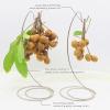 Banana Holder Stand, Multifunctional Banana Stand for Kitchen Counter, Stainless Steel Banana Rack with Hooks for Hanging Bananas, Grapes, Longan and Other Fruits, Silver, 12.6 * 5.7 Inch view 3