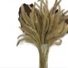 100 Pieces - 18-20" Natural Tan Dogtail Preserved Dried Botanical Grass Boho Centerpiece Decor | Moonlight Feather view 2