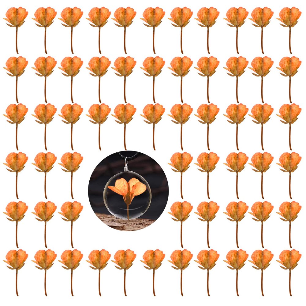 60PCS Orange Dried Pressed Rapeseed Flowers for Resin Mold, Natural Dry Flowers for Resin Mold DIY Ornament Crafts Candle Card Making