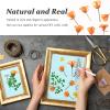 60PCS Orange Dried Pressed Rapeseed Flowers for Resin Mold, Natural Dry Flowers for Resin Mold DIY Ornament Crafts Candle Card Making view 4