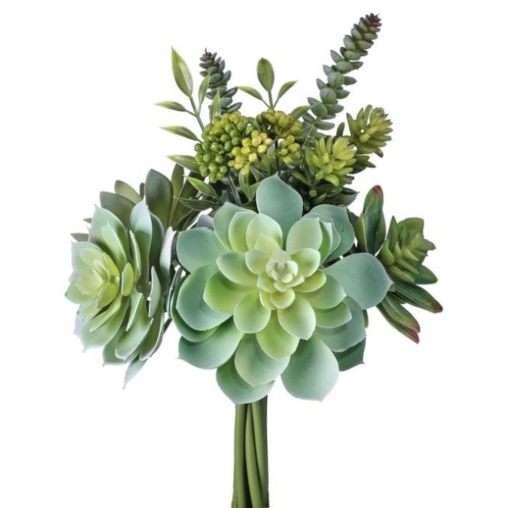 Mixed Succulent Bundle