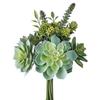Mixed Succulent Bundle view 1