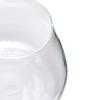 Schott Zwiesel - Water glass No.60 43 Cl (Set of 6 pcs) - 141809 view 3