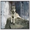 wall26 - Animal Theme Framed Canvas Wall Art - A Wolf Laying on a Boulder - Giclee Print Gallery Wrap | Modern Home Art Stretched & Ready to Hang - 16"x24" White view 1