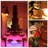 Commercial Chocolate Fountain Fountain - 4/5/6/7 Tiers Stainless Steel Sauce Melting Pot/Chocolate Waterfall Machine for Party Wedding Buffet Equipment / 4 Tiers view 2