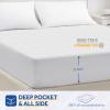 Sealy 3M Scotchgard Heated Mattress Pad | Quilted Cotton Electric Bed Warmer with 10 Heat Setting Dual Controller | 1-12 Hours Auto Shut Off | 17" Deep All Around Elastic Pocket, King view 2