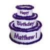 Anderson's White & Purple Personalized Pop-Out Birthday Cake, Life-Size Faux Cake with Fun Font, Custom Name, Surprise Reveal Prop for Milestone Parties, Photo Ops, Store or Business Events view 1