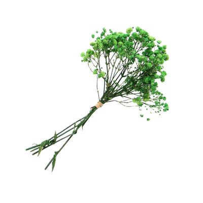 homeemoh Dried Gypsophila 4.7" Mini Natural Dried Flower Bouquet for Wedding Party Photography Backdrop Decor,Green