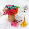 homeemoh Dried Gypsophila 4.7" Mini Natural Dried Flower Bouquet for Wedding Party Photography Backdrop Decor,Green view 4