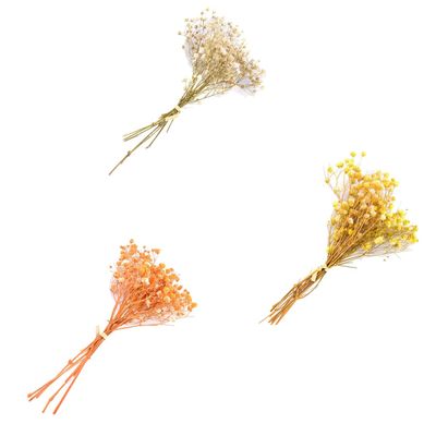 homeemoh Dried Gypsophila 4.7" Mini Natural Dried Flower Bouquet for Wedding Party Photography Backdrop Decor,Beige+Yellow+Orange