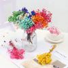 homeemoh Dried Gypsophila 4.7" Mini Natural Dried Flower Bouquet for Wedding Party Photography Backdrop Decor,Beige+Yellow+Orange view 3