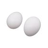 10x Solid Plastic Fake Dummy Egg Artificial For Pigeons White 1.5"x1.1" view 2