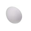 10x Solid Plastic Fake Dummy Egg Artificial For Pigeons White 1.5"x1.1" view 3