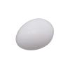 10x Solid Plastic Fake Dummy Egg Artificial For Pigeons White 1.5"x1.1" view 4