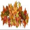 32" Maple Leaves Swag view 1