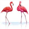 Ambesonne Animal Duvet Cover Sets, 2 Hand Drawn Flamingos in Pink Colors on Seaside Tropical Wildlife Art, Bedding Set with 2 Duvet Covers & 4 Pillowcases, 2 Pack Queen Size, Orange Lavender view 4